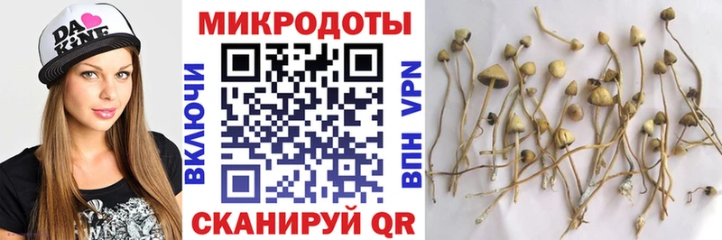 Галлюциногенные грибы мухоморы Демидов